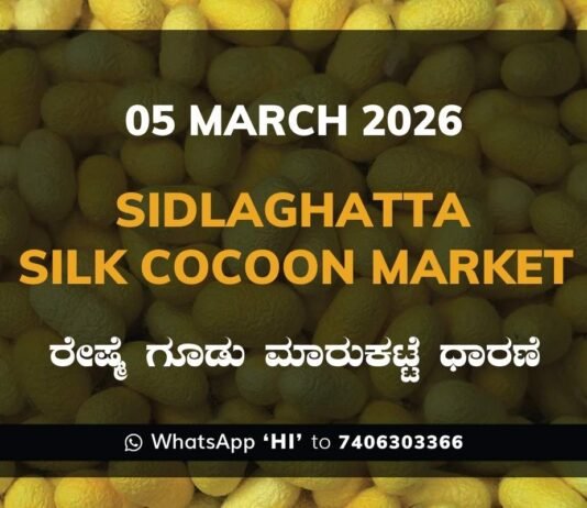 Sidlaghatta Silk Cocoon Market Price Rate ಶಿಡ್ಲಘಟ್ಟ ರೇಷ್ಮೆ ಗೂಡು ಮಾರುಕಟ್ಟೆ ಧಾರಣೆ
