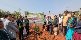 5 Lakh Planting Trees Inititative
