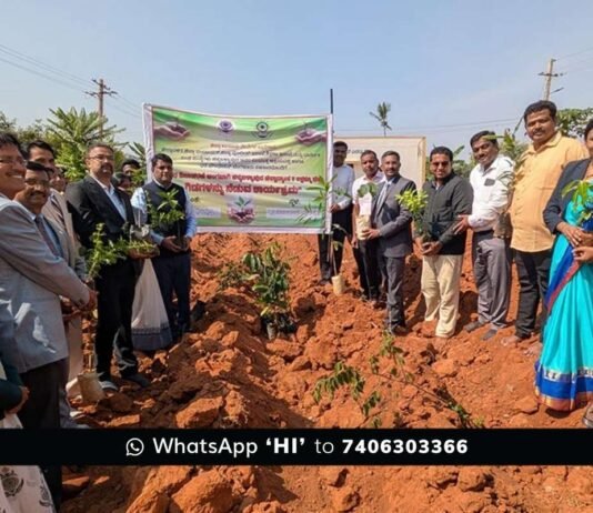5 Lakh Planting Trees Inititative