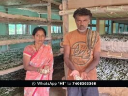 Sidlaghatta Kannamangala Silk Farmet Crop Poison