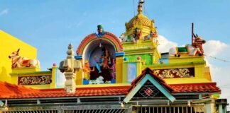 Melur Umamaheshwari Temple Girija Kalyanotsava