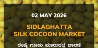 Sidlaghatta Silk Cocoon Market-02/05/2026