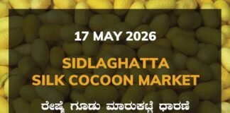 Sidlaghatta Silk Cocoon Market-17/05/2026
