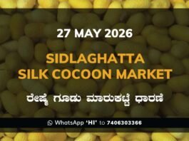 Sidlaghatta Silk Cocoon Market-27/05/2026