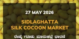 Sidlaghatta Silk Cocoon Market-27/05/2026