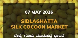 Sidlaghatta Silk Cocoon Market-07/05/2026