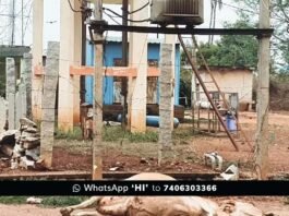 Mallur Cow Electric Accident