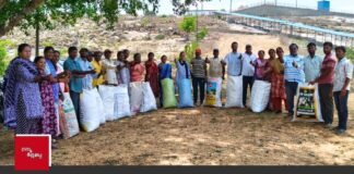FES native tree seeds collection Program