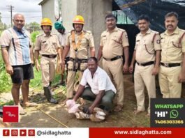 Sidlaghatta Tummanahalli Blackbuck Rescue