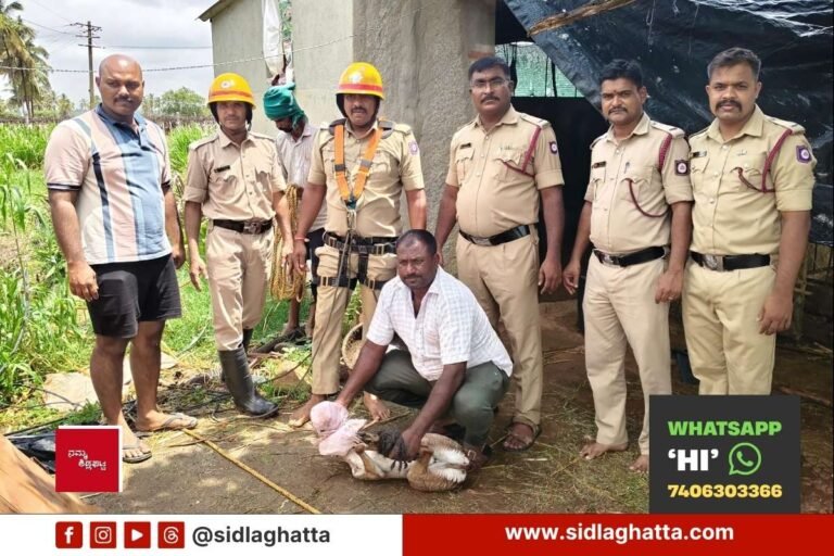 Sidlaghatta Tummanahalli Blackbuck Rescue