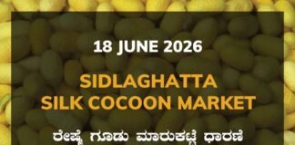 Sidlaghatta Silk Cocoon Market-18/06/2026