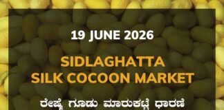 Sidlaghatta Silk Cocoon Market-19/06/2026