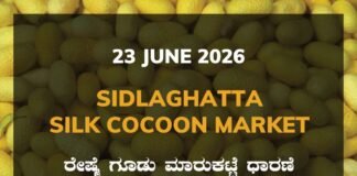 Sidlaghatta Silk Cocoon Market-23/06/2026 Sidlaghatta Silk Cocoon Market-22/06/2026