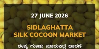 Sidlaghatta Silk Cocoon Market-27/06/2026