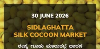 Sidlaghatta Silk Cocoon Market-28/06/2026
