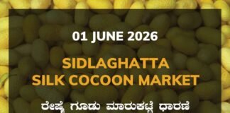 Sidlaghatta Silk Cocoon Market-01/06/2026