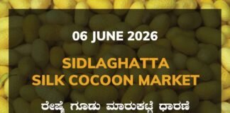 Sidlaghatta Silk Cocoon Market-06/06/2026