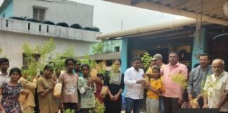 ಶ್ರೀ ಚೌಡೇಶ್ವರಿ ದೇವಿಯ ಆಲಯದ ಲೋಕಾರ್ಪಣೆ; ಮನೆಮನೆಗೆ ಶ್ರೀಗಂಧದ ಸಸಿ ವಿತರಣೆ chowdeshwari temple Sandalwood tree saplings distribution