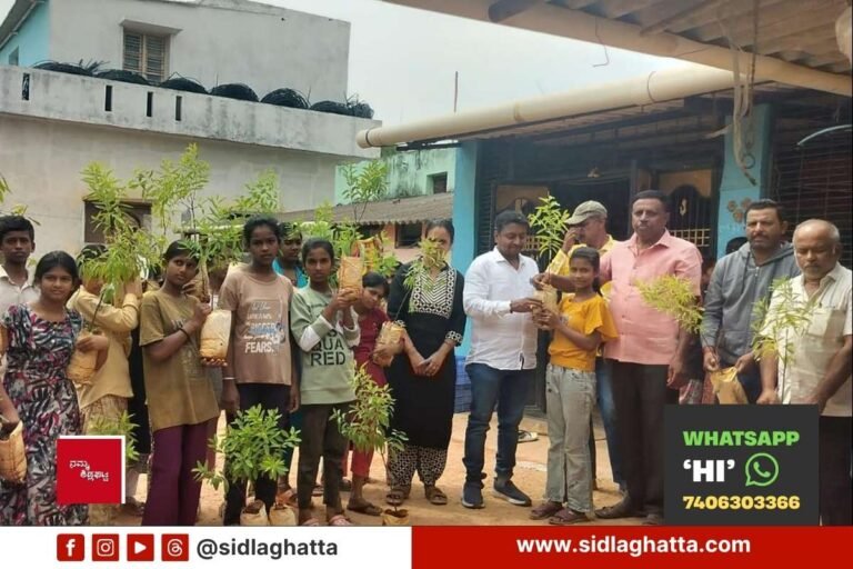 chowdeshwari temple Sandalwood tree saplings distribution
