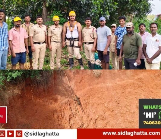 monkey fallen into deep well Rescue
