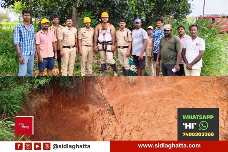 monkey fallen into deep well Rescue