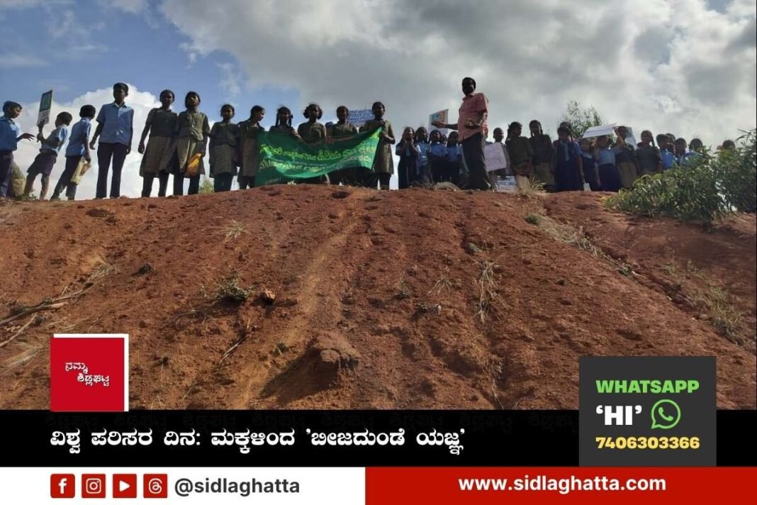 World environment day Seed ball campaign