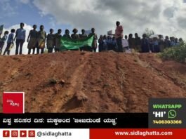 World environment day Seed ball campaign