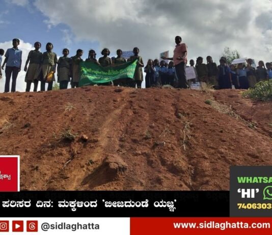World environment day Seed ball campaign