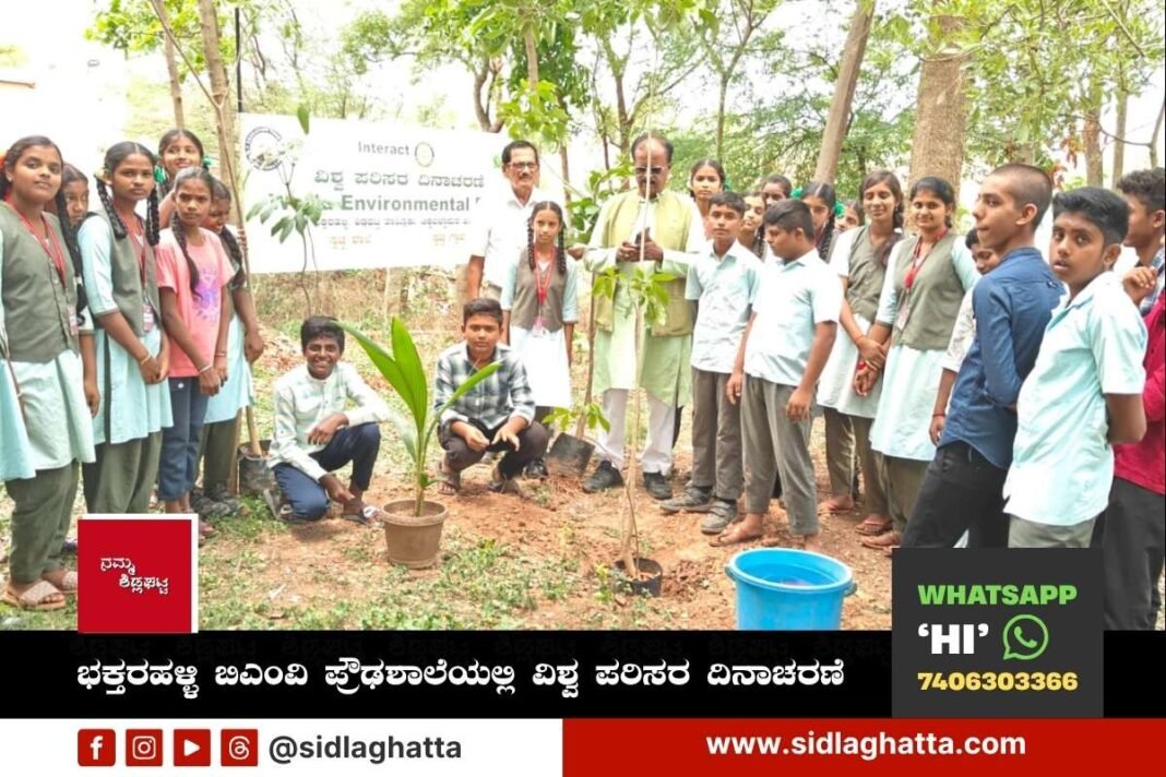 Bhaktarahalli BMV High School Environment Day