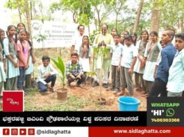 Bhaktarahalli BMV High School Environment Day