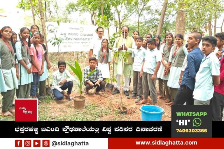 Bhaktarahalli BMV High School Environment Day
