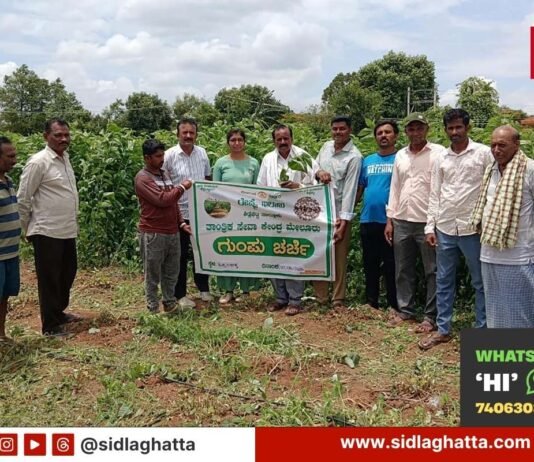 sidlaghatta Farmers Group Discussion Programme