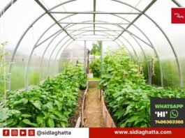 Horticulture Department Schemes Apply