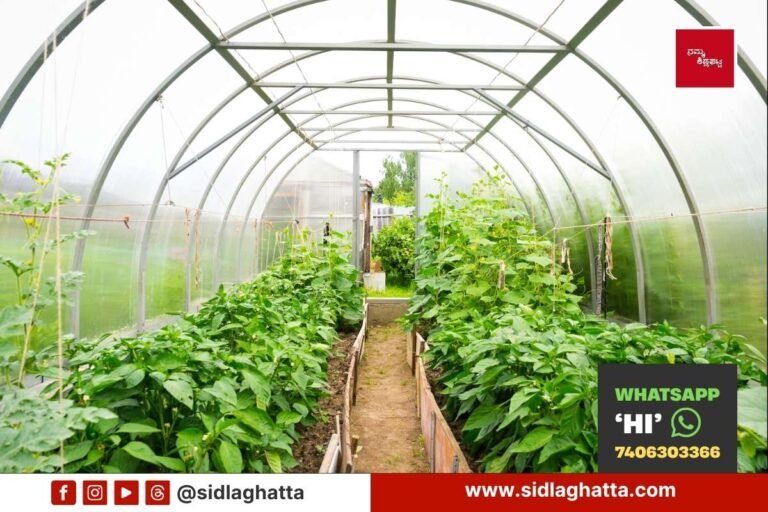 Horticulture Department Schemes Apply