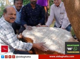 Sidlaghatta Mallishettipura 16th Century Inscription Discovery