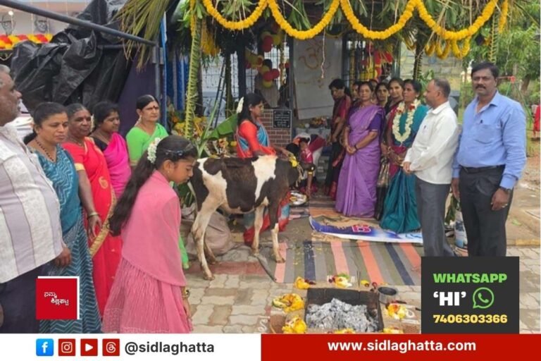 Sidlaghatta Cheemangala PM Shri School Sharadadevi Idol Installation