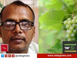 ದ್ರಾಕ್ಷಿ, ಮಾವು, ದಾಳಿಂಬೆ ಬೆಳೆ ವಿಮೆಗೆ ಜುಲೈ 31ರೊಳಗೆ ನೋಂದಣಿ Sidlaghatta Horticulture Officer Grape Crop Insurance