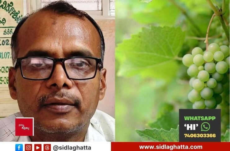 Sidlaghatta Horticulture Officer Grape Crop Insurance