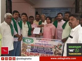 ತಾಲ್ಲೂಕನ್ನು ಬರಗಾಲ ಪೀಡಿತ ಎಂದು ಘೋಷಿಸಿ ಸಾಲ ಮನ್ನಾ ಮಾಡಿ: ರೈತ ಸಂಘ ಆಗ್ರಹ Sidlaghatta Farmer Drought Declaration Loan Waiver Memorandum