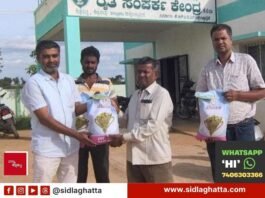 Sidlaghatta Fertilizer Seed Availability Crop Insurance