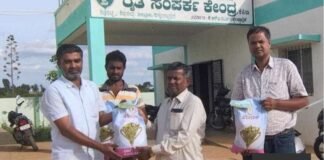 ರಸಗೊಬ್ಬರ, ಬಿತ್ತನೆ ಬೀಜ ಸಮರ್ಪಕ ಲಭ್ಯ; ಬೆಳೆ ವಿಮೆ ಮಾಡಿಸಿಕೊಳ್ಳಲು ರೈತರಿಗೆ ಸೂಚನೆ Sidlaghatta Fertilizer Seed Availability Crop Insurance