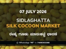 Sidlaghatta Silk Cocoon Market-07/07/2026 Sidlaghatta Silk Cocoon Market Rate 07 July 2026