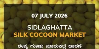Sidlaghatta Silk Cocoon Market-07/07/2026 Sidlaghatta Silk Cocoon Market Rate 07 July 2026