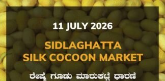 Sidlaghatta Silk Cocoon Market-11/07/2026 Sidlaghatta Silk Cocoon Market Rate 11-07-2026