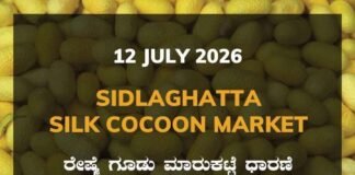 Sidlaghatta Silk Cocoon Market-12/07/2026 Sidlaghatta Silk Cocoon Market Rate 12 July 2026