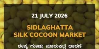 Sidlaghatta Silk Cocoon Market-21/07/2026