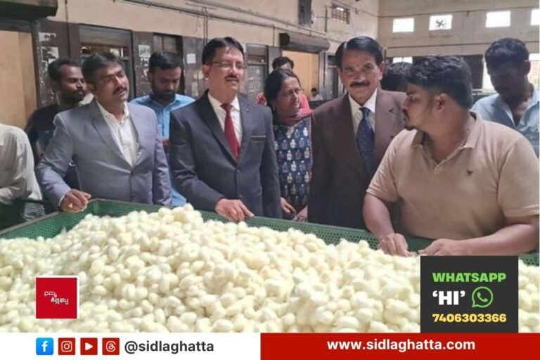 Sidlaghatta Senior Civil Judge Visits Silk Cocoon Market