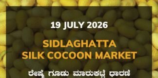 Sidlaghatta Silk Cocoon Market-19/07/2026 Sidlaghatta Silk Cocoon Market Rate 19 July 2026