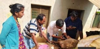 ಬೀದಿ ನಾಯಿ ದಾಳಿಗೆ ನಾಲ್ಕು ಕುರಿ ಬಲಿ: ಶಾಶ್ವತ ಪರಿಹಾರಕ್ಕೆ ಗ್ರಾಮಸ್ಥರ ಆಗ್ರಹ Sidlaghatta Stray Dog Attack Sheep Varadanayakanahalli