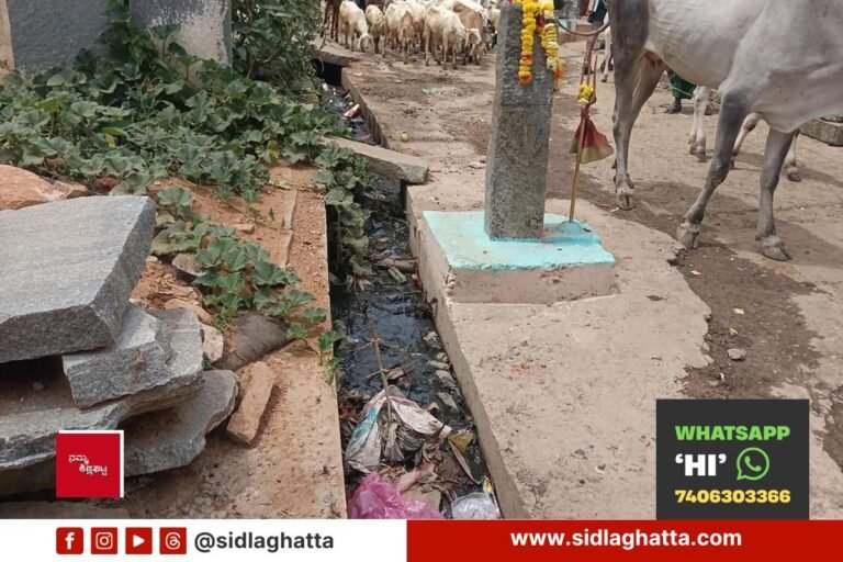 Jarugahalli-Colony-Infrastructure-Neglect-Dibburahalli